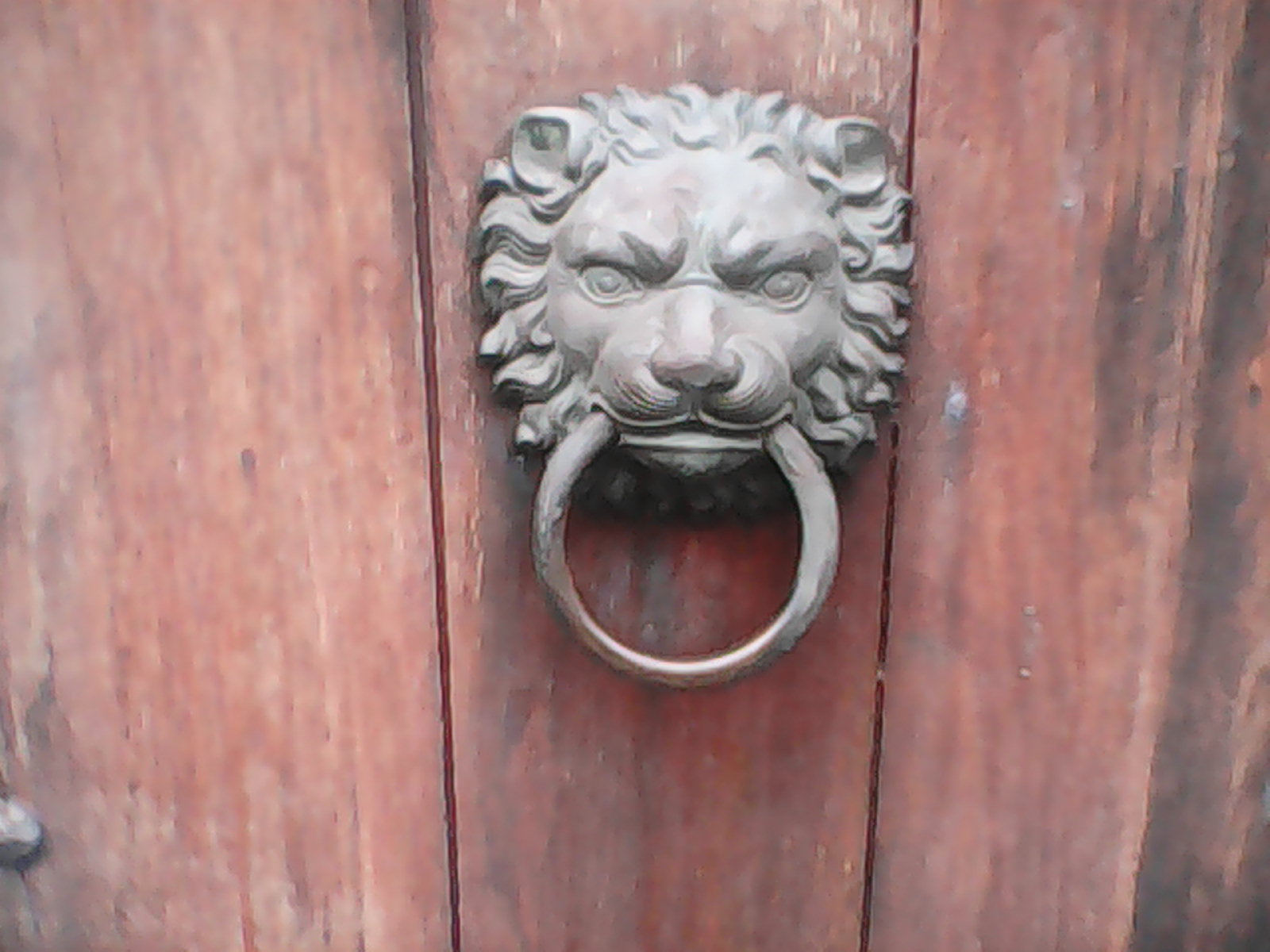 A lionhead guarding a door.
