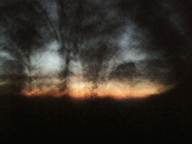 Sun rises in a dark forest.